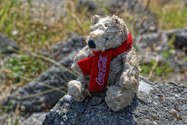 Dirty Coca Cola Bear