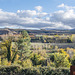 Otoño en la región de los vinos de La Rioja