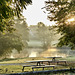 Early morning picnic benches