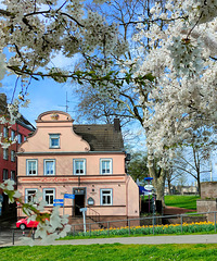 Frühling in Uerdingen am Rhein
