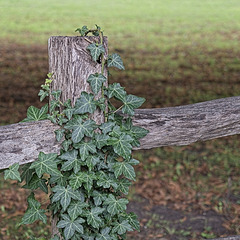 Fence Post Detail