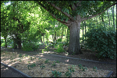 Jardin botanique de La Charme -63 (14)