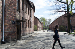 Poland Auschwitz (#2323)