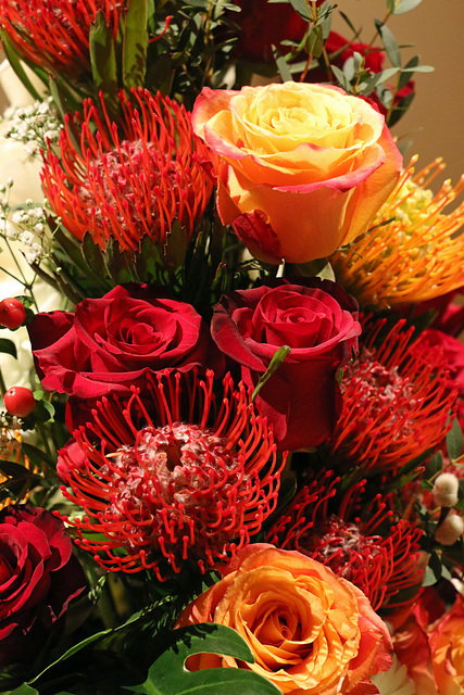 Roses and protea