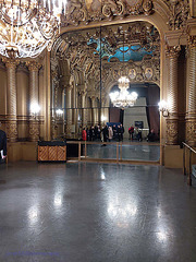 Palais Garnier - Opéra National de Paris (18)