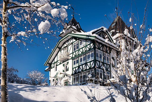 Wintry Day in Kitzbühel