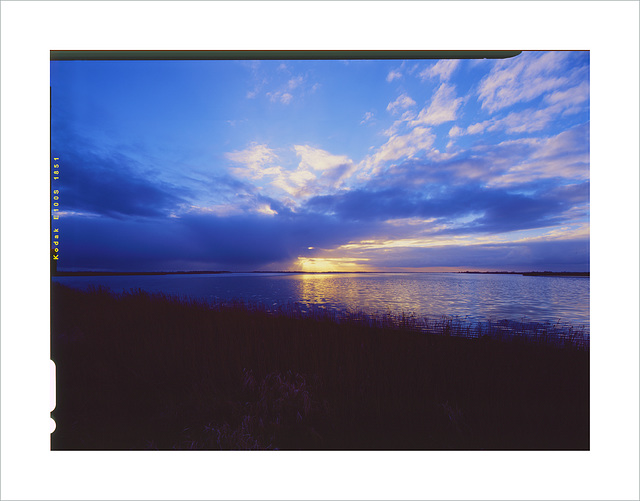late evening sun Lauwersmeer