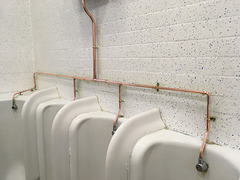 Porcelain and Polished Pipes