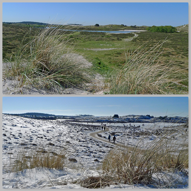 Nederland - Schoorl, Vogelmeer