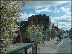 Cowley Road in spring