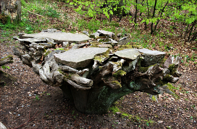 Tisch aus dem Wald