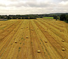 Bales appearing