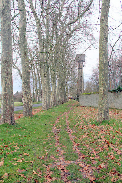 Chemin de la grille d'entrée du Château - 6286