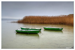 Boats resting on Ammersee