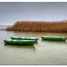 Boats resting on Ammersee