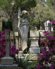 Angel in Savannah (1)