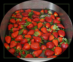 Badetag für Erdbeeren ;-)