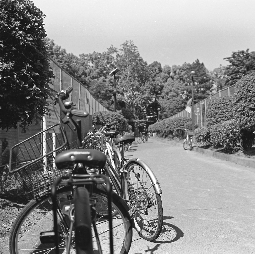 Bicycles parked at the tennis courts
