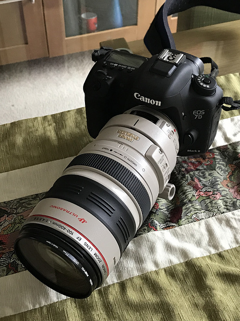 Canon 7DMkII with 100-400mm f4.5-5.6 L lens...