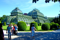 AT - Wien - Palmenhaus am Schloss Schönbrunn