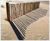 Dune Fence
