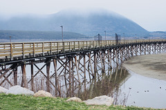 Water front in Salmon Arm, BC