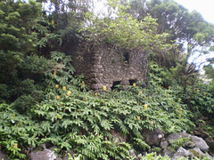Stone house with camouflage.