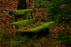 Green, Green Bench of Home