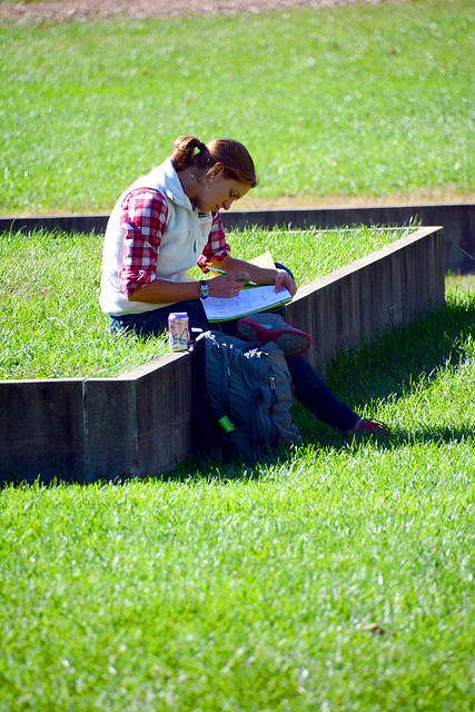 Studying at Punchcard Park