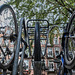 Fietsenrek - Bicycle rack
