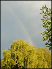 Blandford rainbow