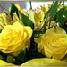 Blüten in Gelb. ©UdoSm