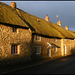 sunlit thatch in a stormy sky