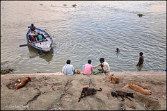 Fin de journée sur les rives du Gange