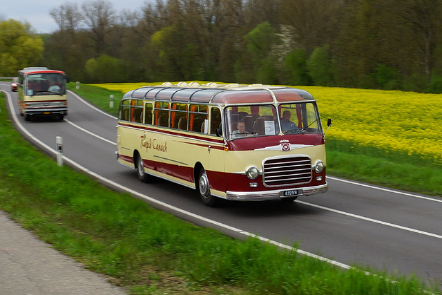 Omnibustreffen Sinsheim Speyer 2023 676