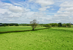 Green fields as summer approaches