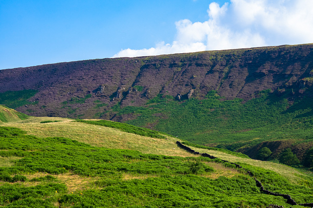 Torside Clough with the heather flowering