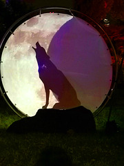 Der Mond und der Wolf