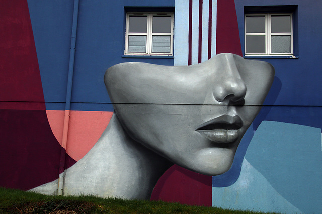 Journée de la Femme - SKIO , un artiste incontournable - Street Art à Saint-Brieuc .