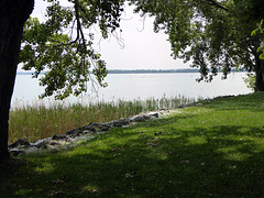 un parco sul lago