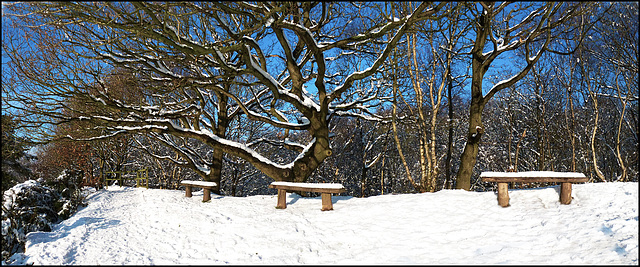 A winters bench