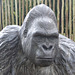 Gorilla Sculpture (3) - 16 October 2015