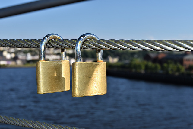 Love locks on the Peace Bridge
