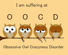 Obsessive Owl Crazyness Disorder