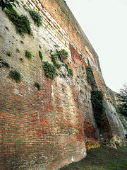 Wall of Siena