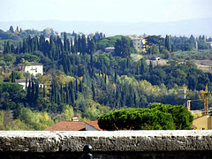 View from Via Garibaldi