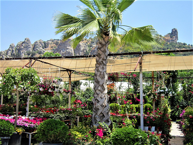 One of the hundreds of garden centres
