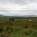 County Mayo: Ballycroy National Park view