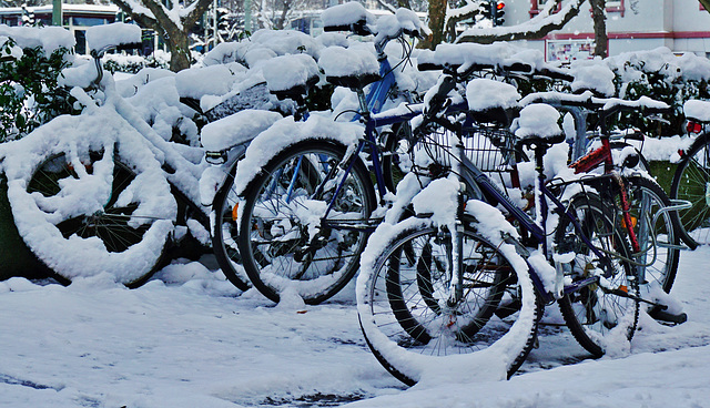 Schneeräder - Snow Bikes