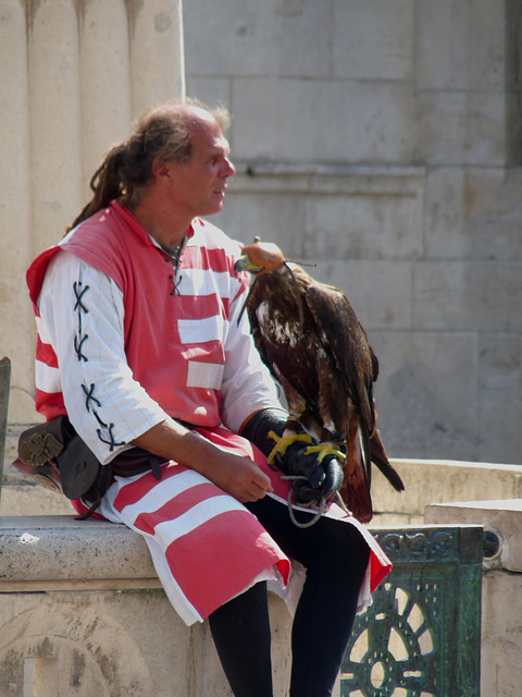 Budapest- Man with Hawk at the Fisherman's Bastion